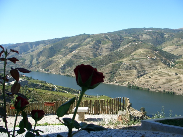 Quinta de Santo António
