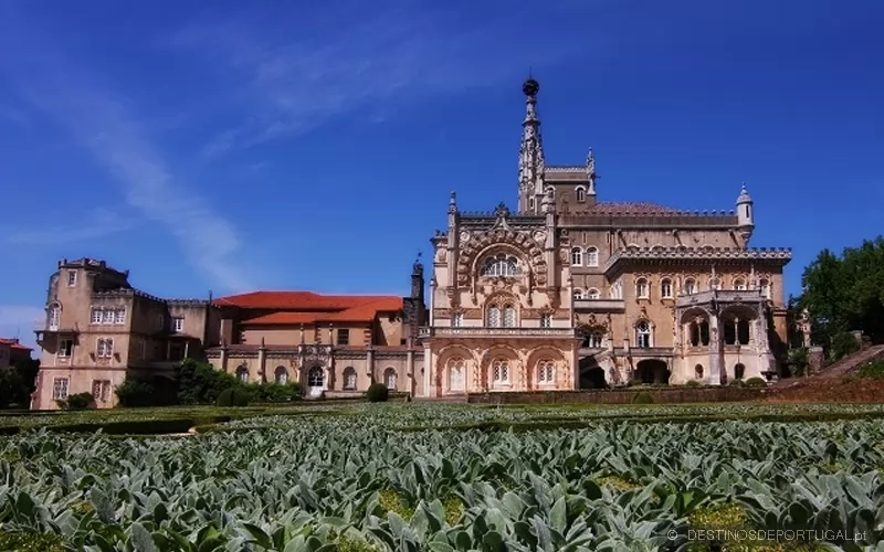 Mata Nacional do Buçaco